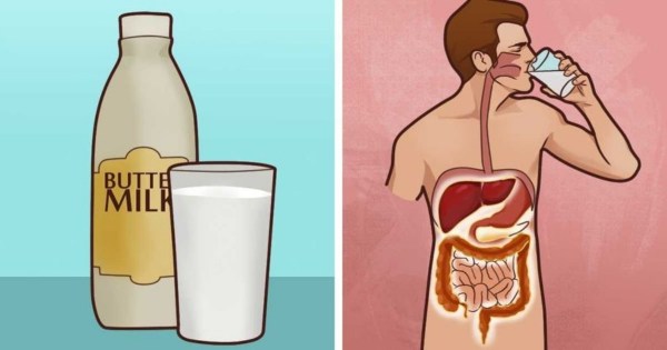 白脫鮮乳封面圖