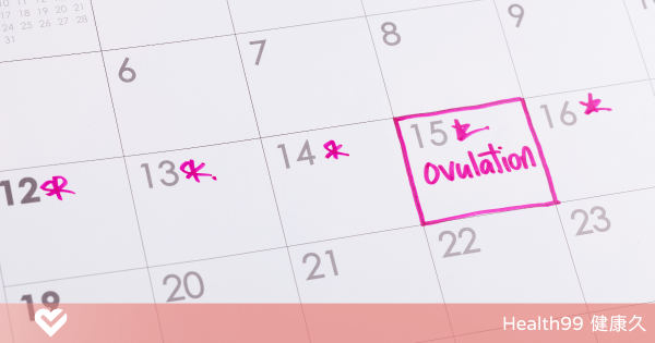 排卵期計算封面圖